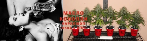 дмт Кинешма