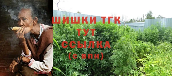 дмт Кинешма