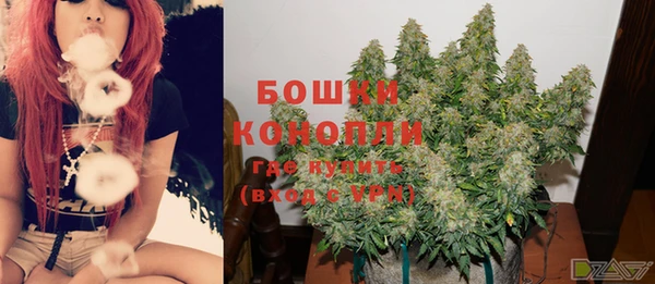 дмт Кинешма