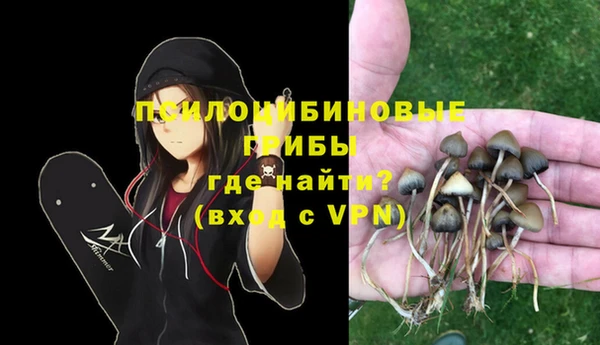 мдпв Киреевск