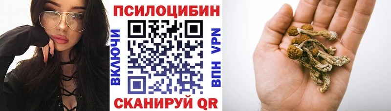Псилоцибиновые грибы прущие грибы Рыбное